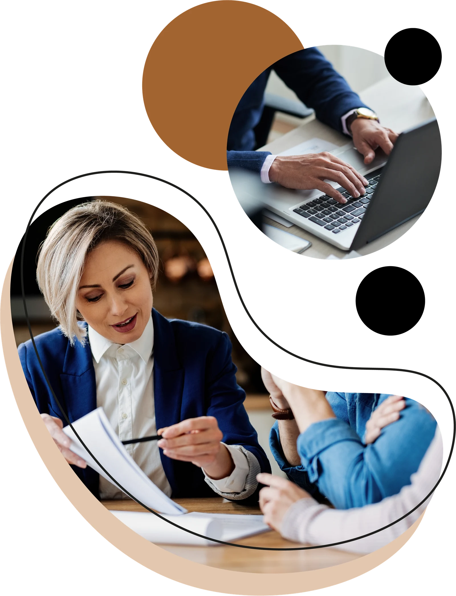 Governance and organization of the Wanzeller ecosystem